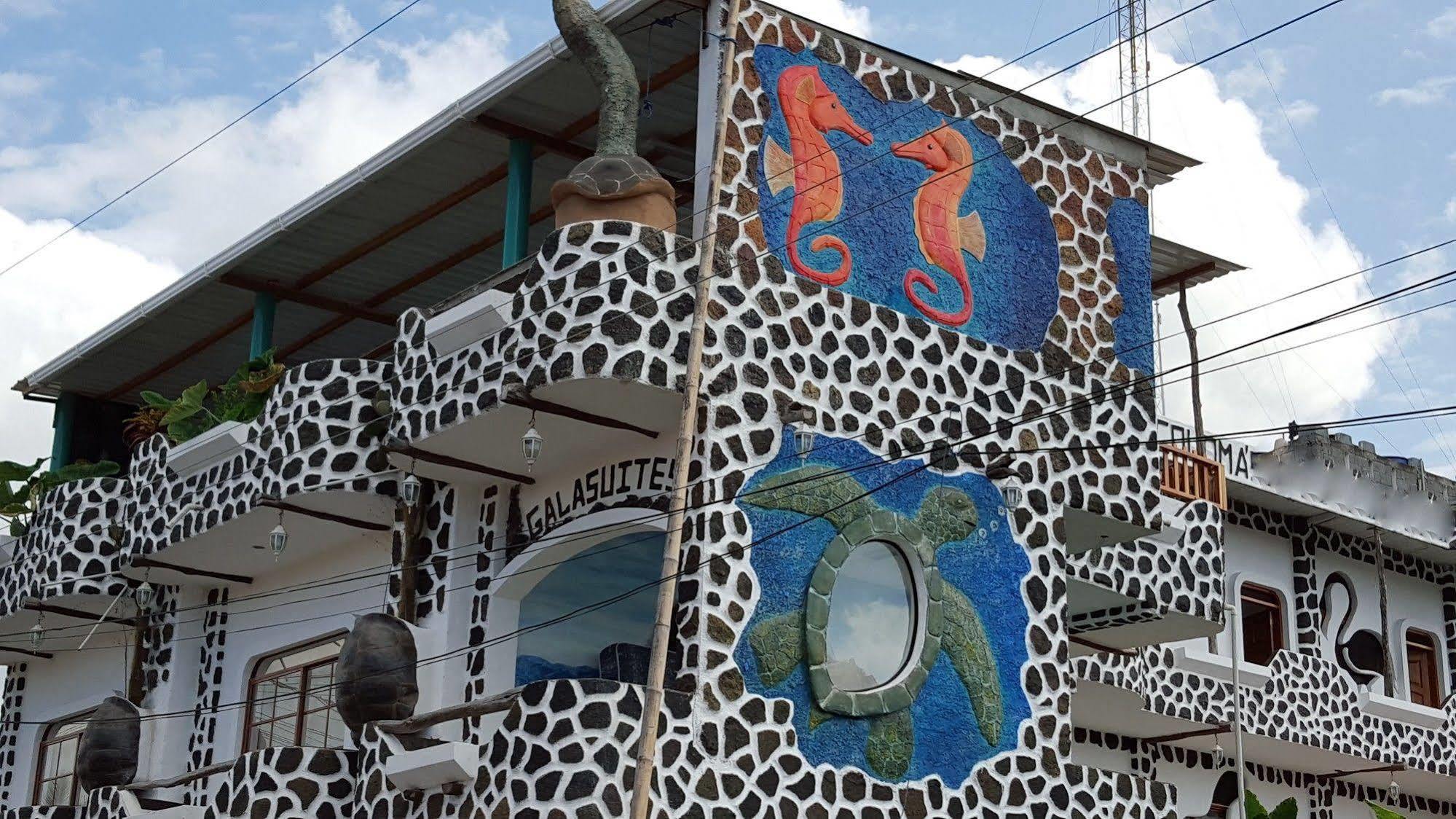 Hotel Coloma Galapagos Puerto Ayora  Dış mekan fotoğraf